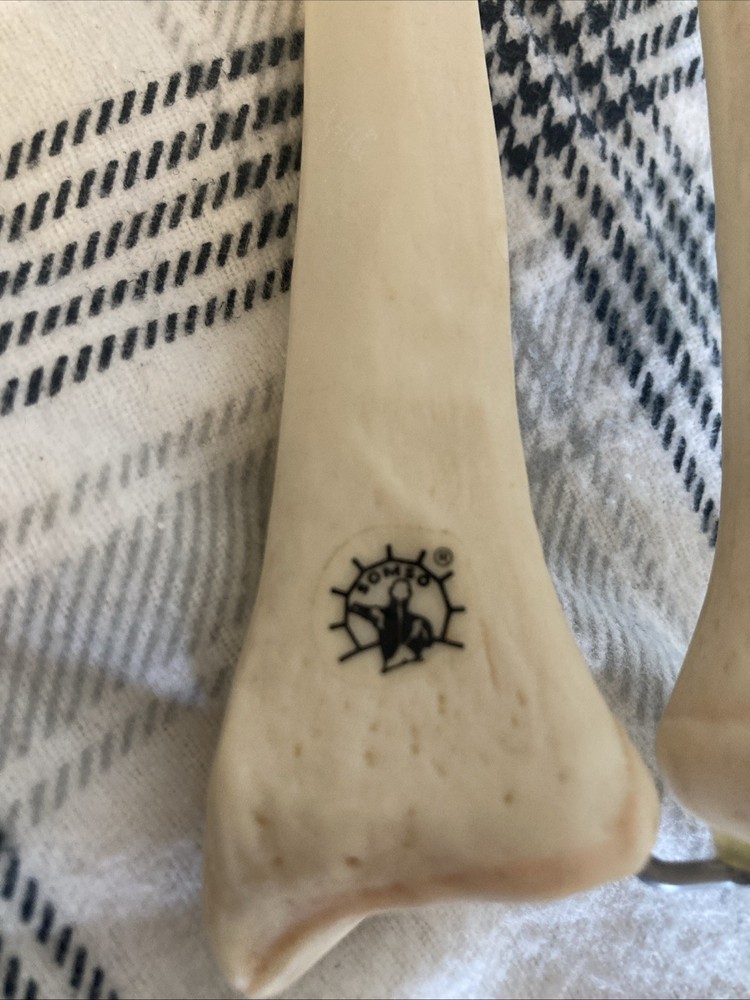 Somso Anatomical Elbow Joint Model. Read