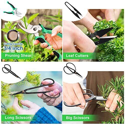 Bonsai Tools Set - 24 PCS Bonsai Tree Tool Kit for Beginners, Bonsai Tree