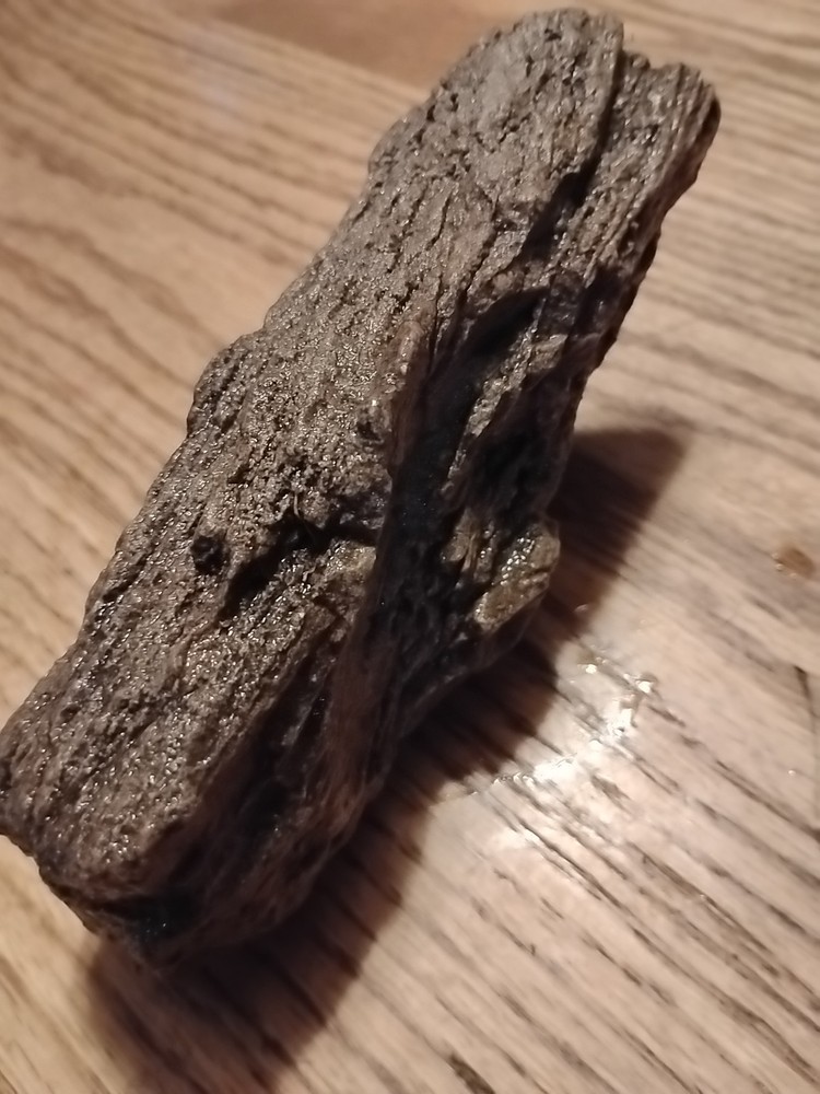 Petrified Wood 738g (Outer Bark)