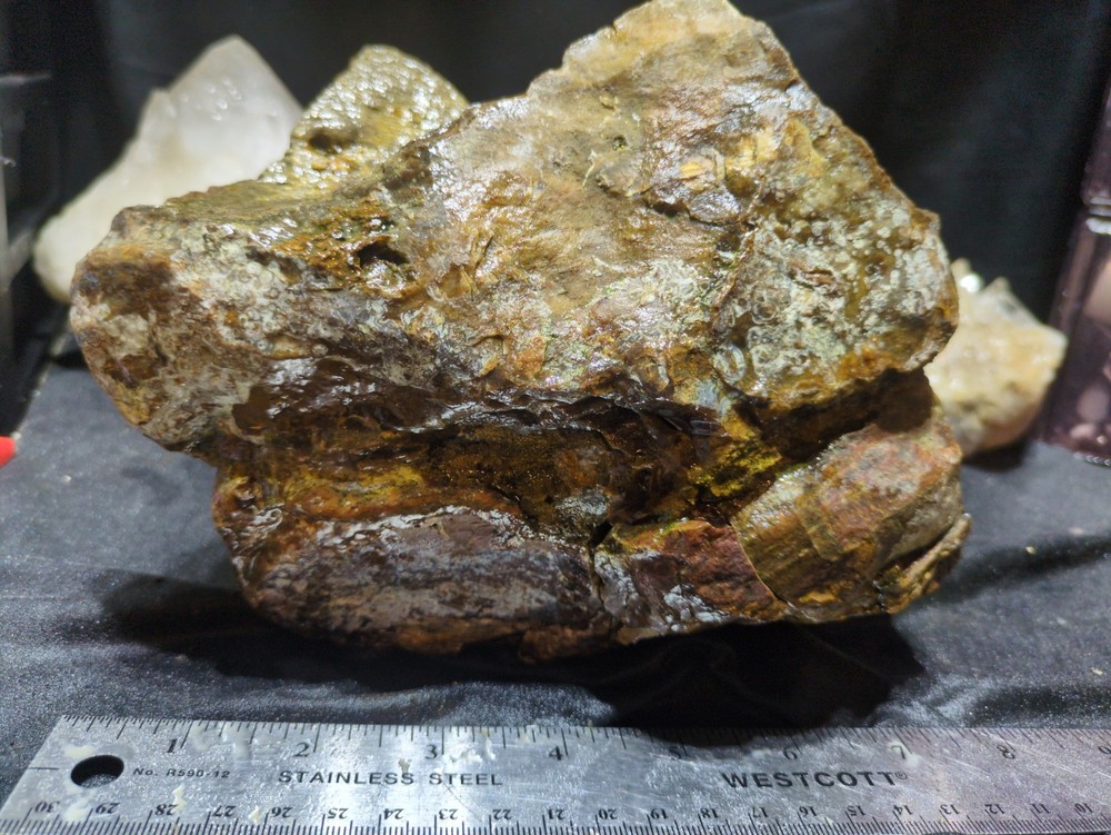 Biggs Jasper Specimen w/ Dendric Natural Form (7lbs 12oz)