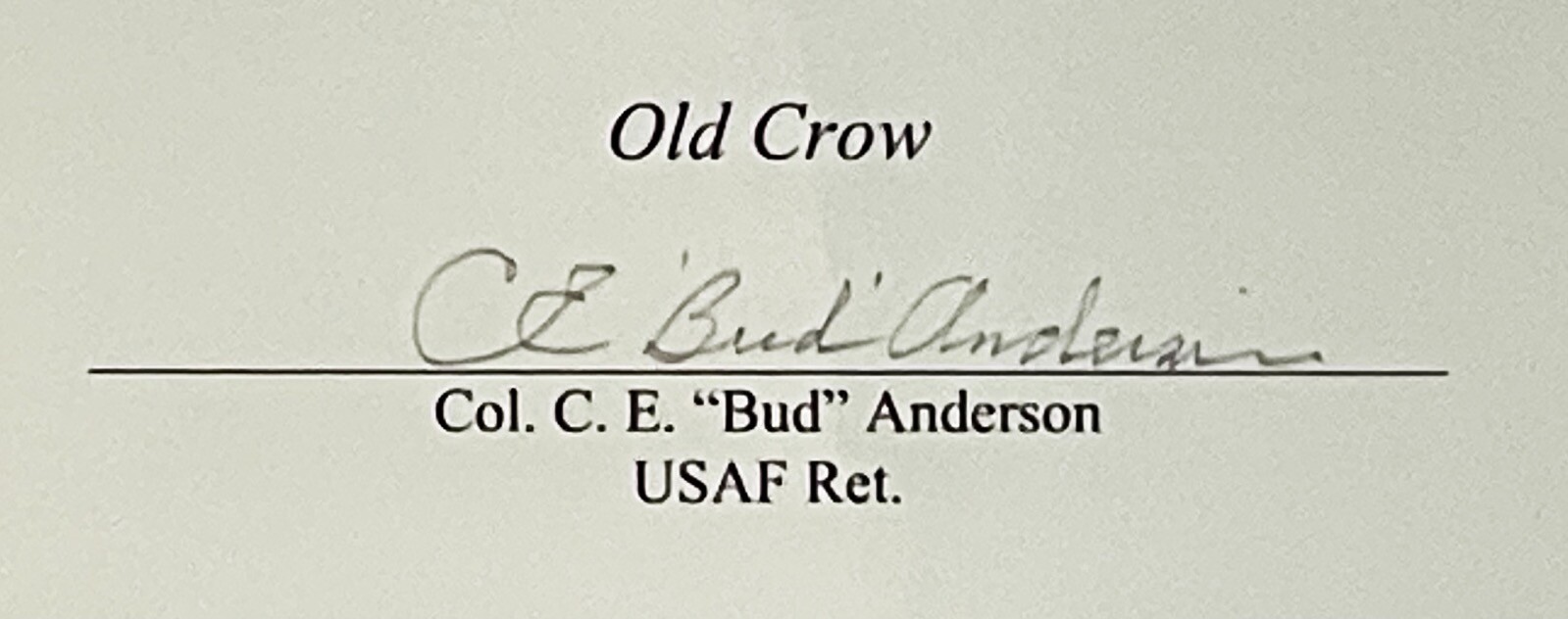 WWII 357TH FG SIGNED FALLEN COMRADES 18X22 STAN STOKES PRINT X2 AUTOS