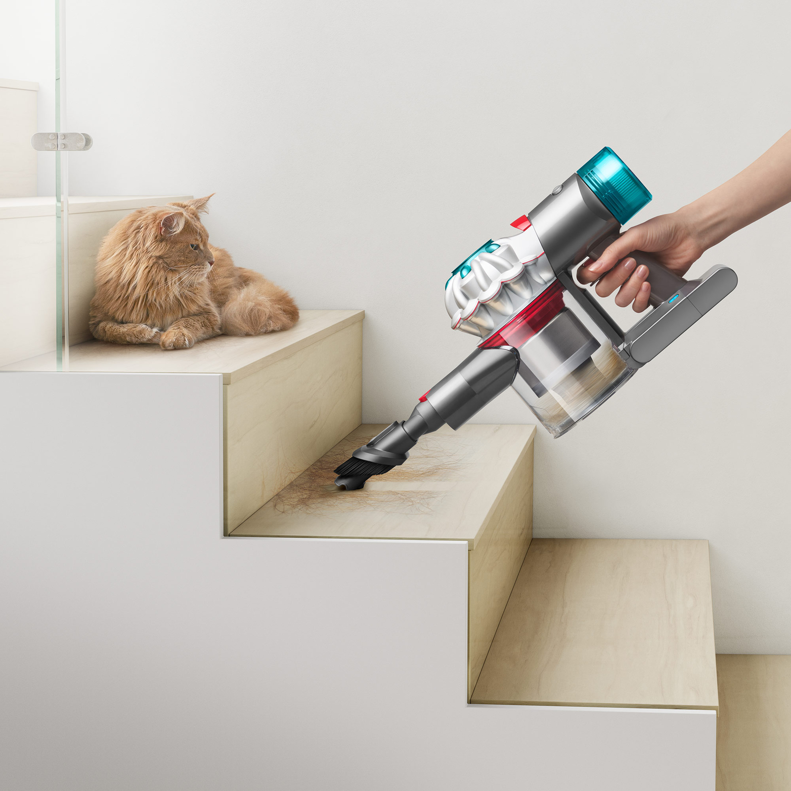 Dyson V8 Absolute Cordless Vacuum, Silver/Nickel Refurbished