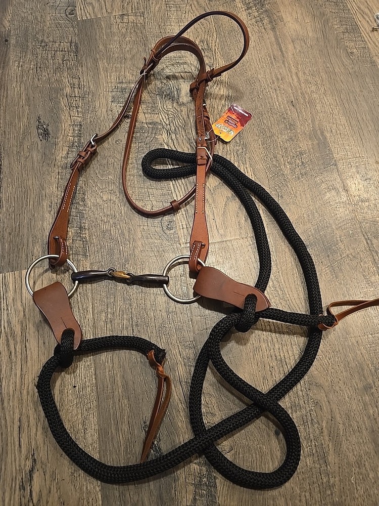 western headstall and reins