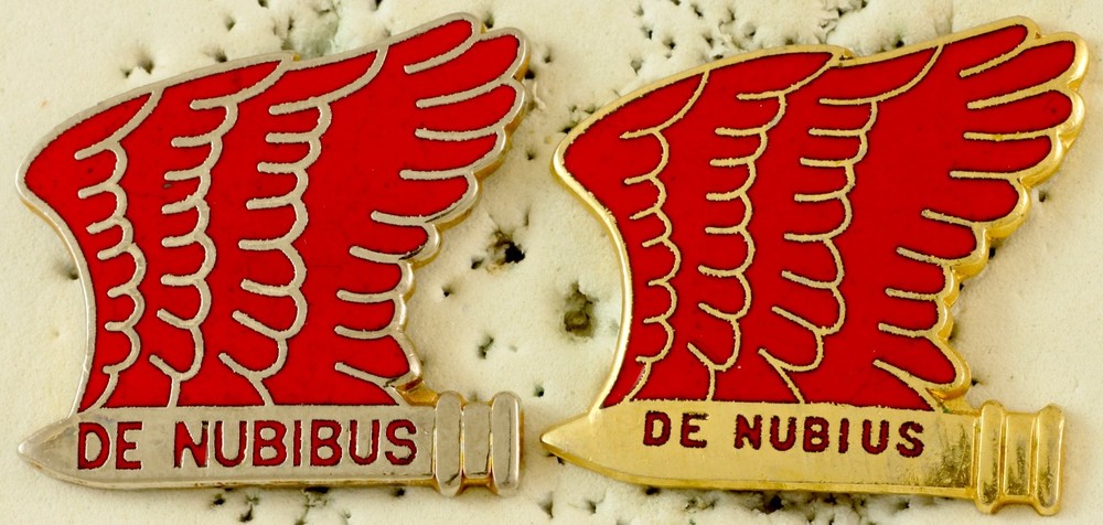 PAIR 101st DIVARTY Crest DI/DUI CB G23/M21 HM VARIATIONS (Motto Error)