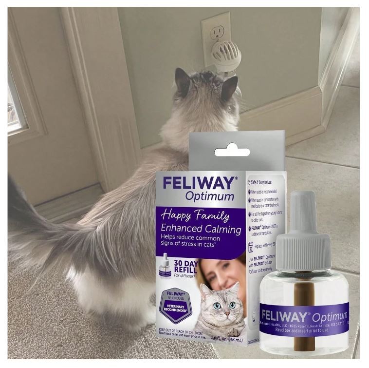 Feliway D92120K Enhanced Calming Pheromone Diffuser Refill - 48ml free shipping