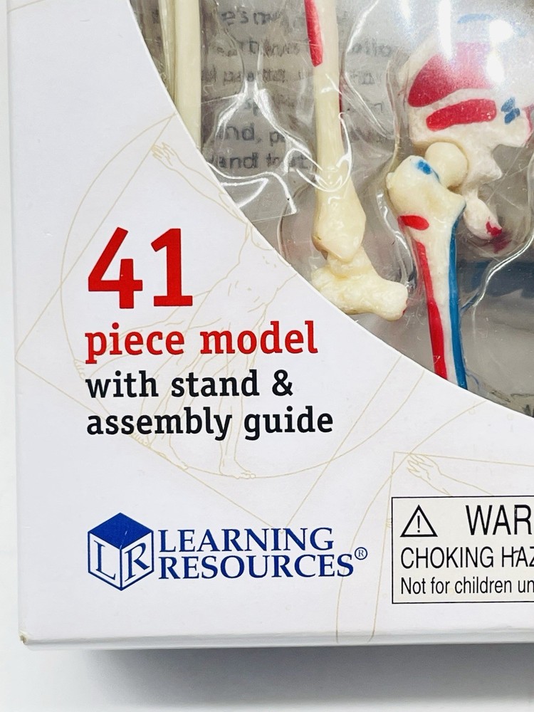 Learning Resources STEM Human Anatomy Skeleton 9.2" Tall Realistic Model ~ 41 Pc