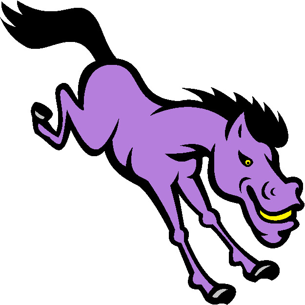 30 Custom Purple Bronco Personalized Address Labels