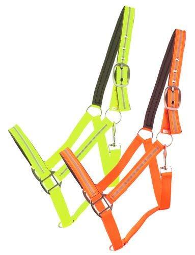 Showman Reflective Neoprene Lined Nylon Halter