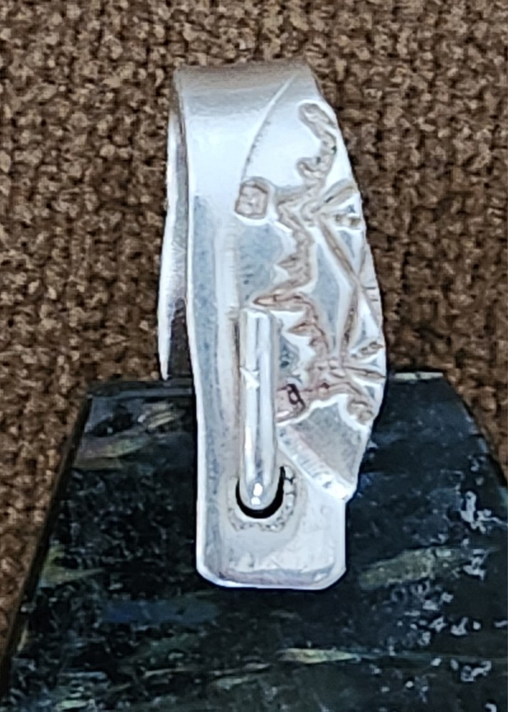 Nuummite pendant and Silver Chain