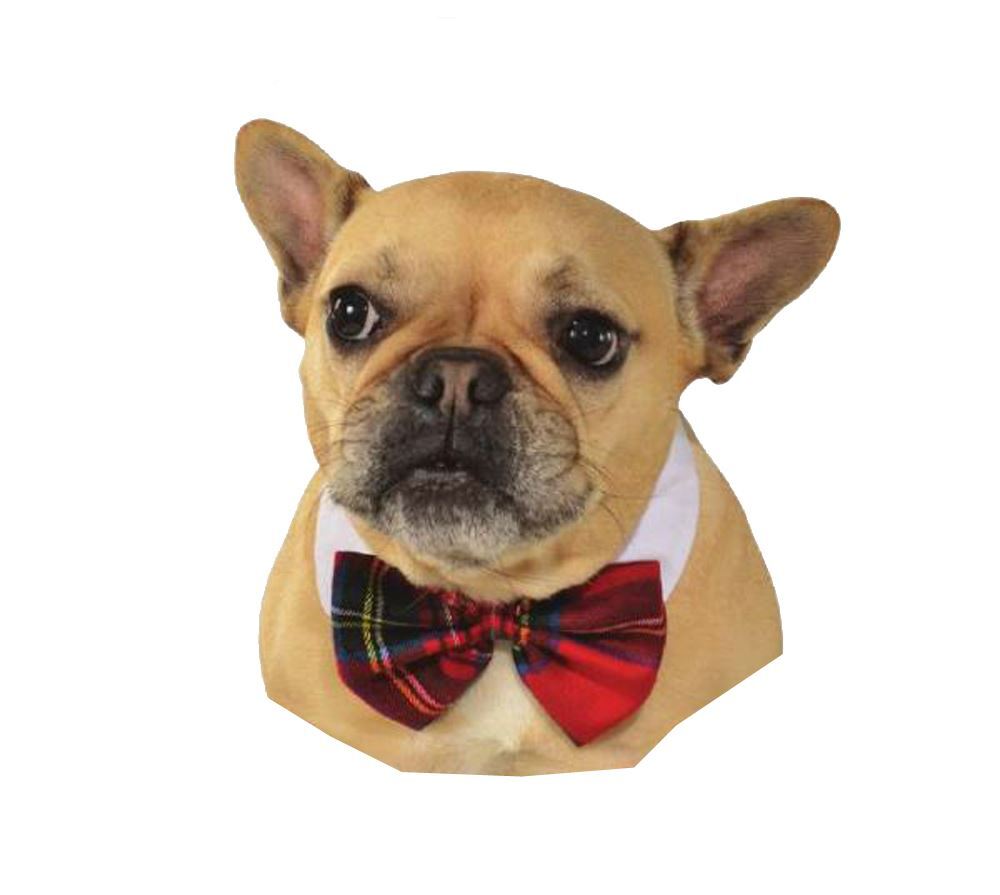 Christmas Pet Bowtie-Red