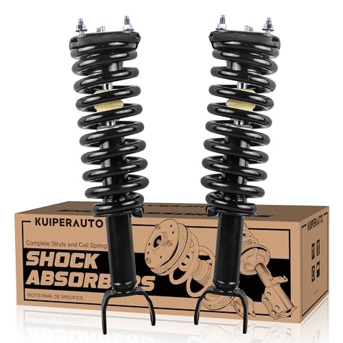 171100 Complete Front Struts Coil Spring Assembly 2x Front Struts 05-09 Dakota