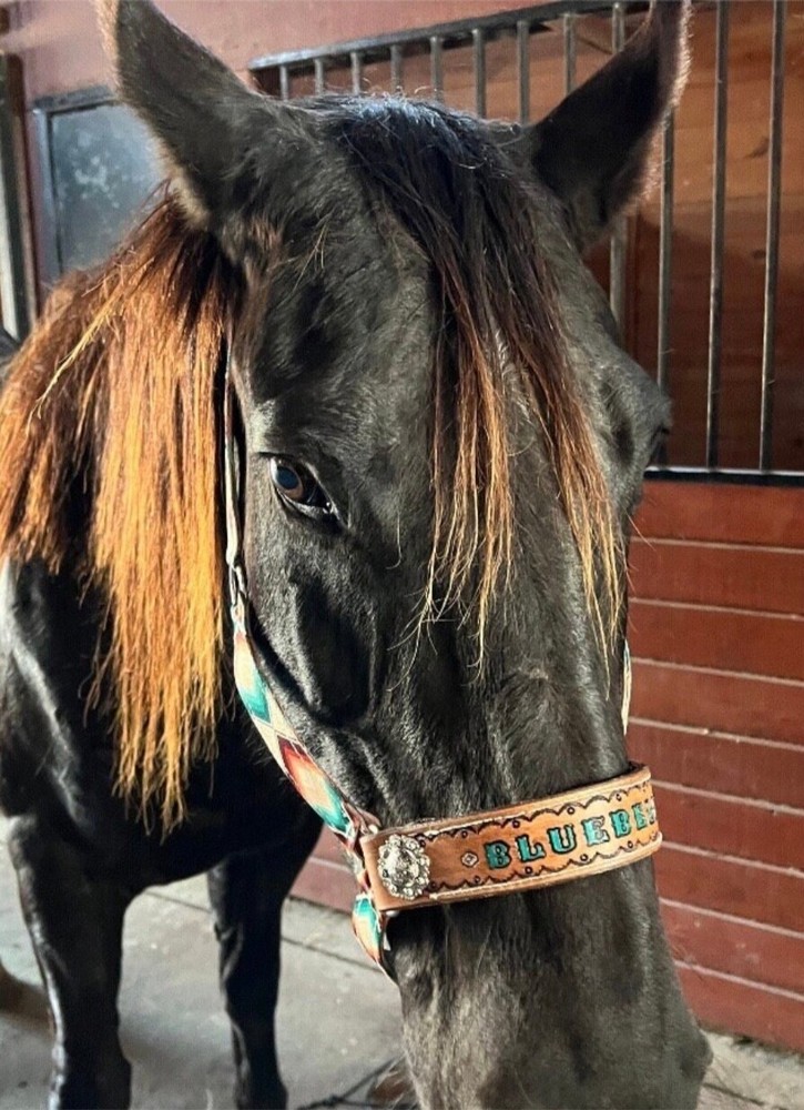 custom personalized nylon horse halter in all sizes in the Aztec Pattern