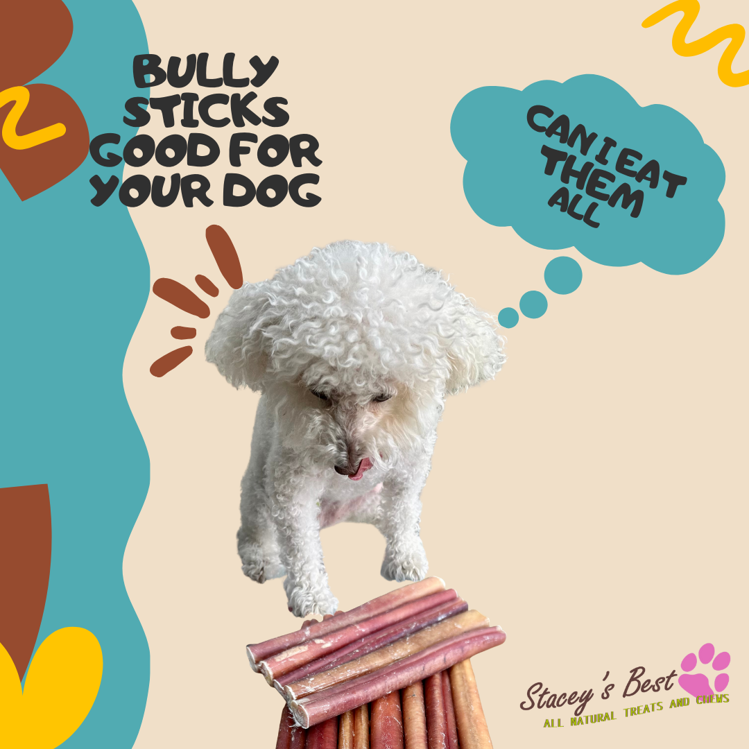 Stacey's Best 6 inch Bully Sticks Dog Chew Excellent Dog Treat (15 Pack)
