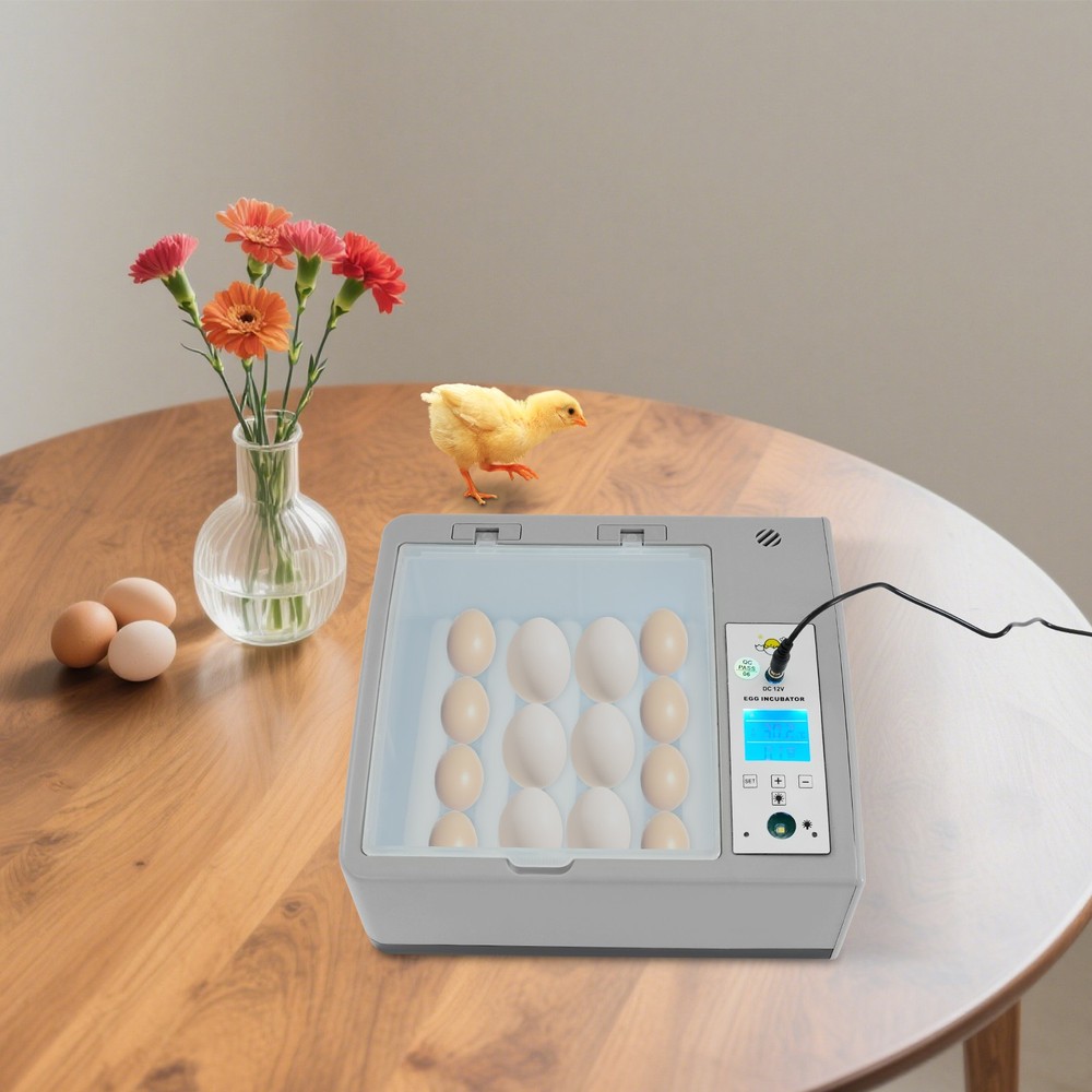 16-Egg Incubating Machine Egg Incubator Tabletop Household w/Temperature Control