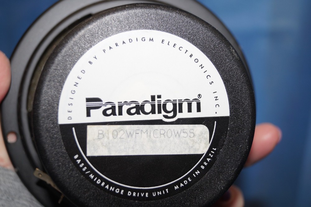 Paradigm Micro Woofer B102WFMICROW5S