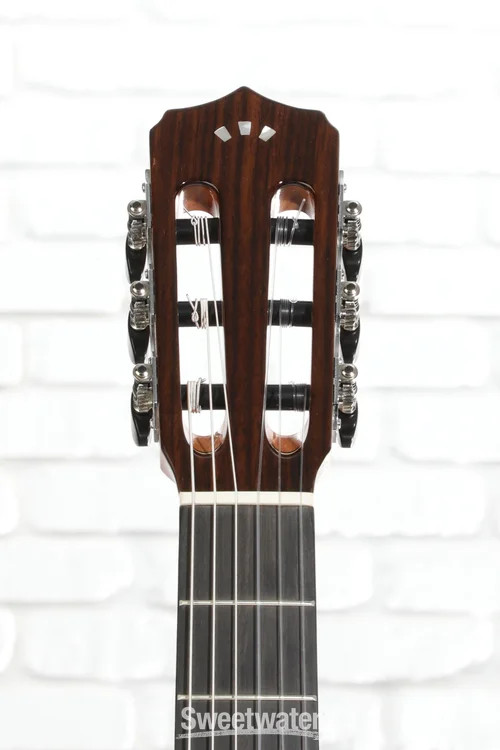 Cordoba Fusion Orchestra CE Nylon String Acoustic Guitar - Cedar