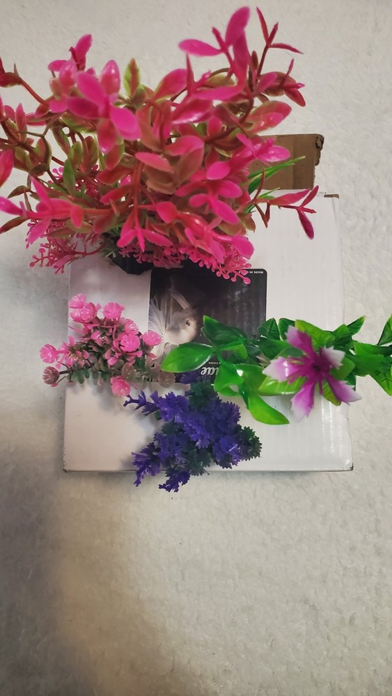 Decoracion Pecera
