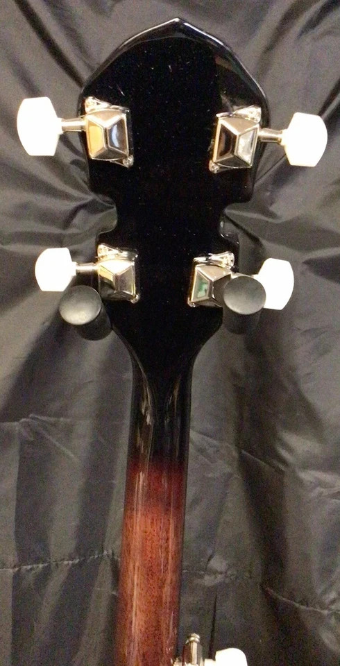 Savannah 5 String Banjo New Floor Model