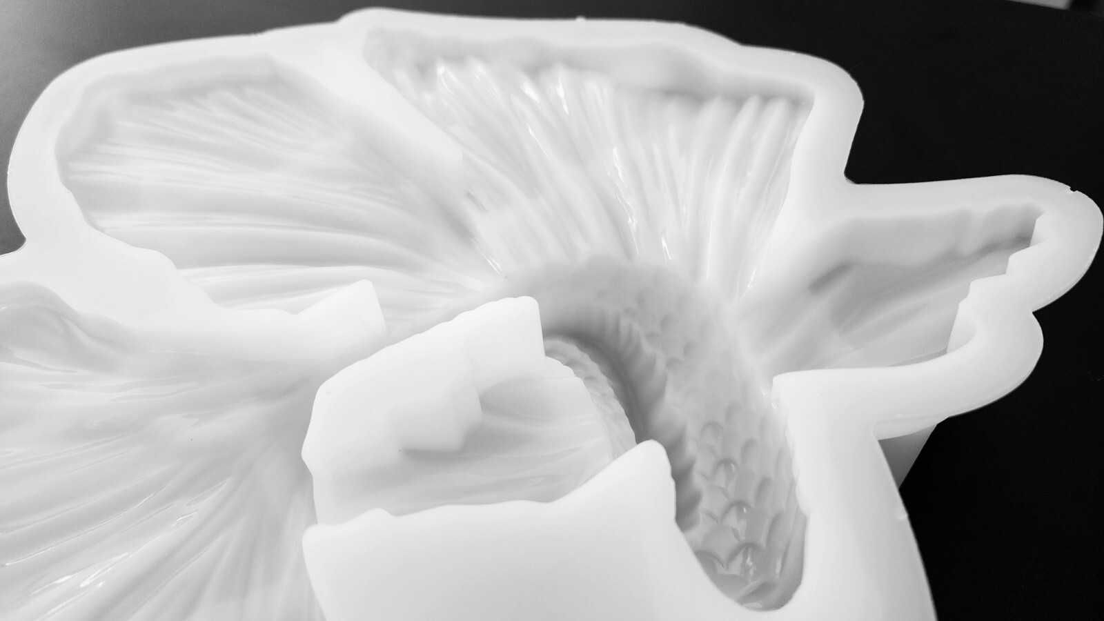 Huge Beta FISH Silicone Mold AU