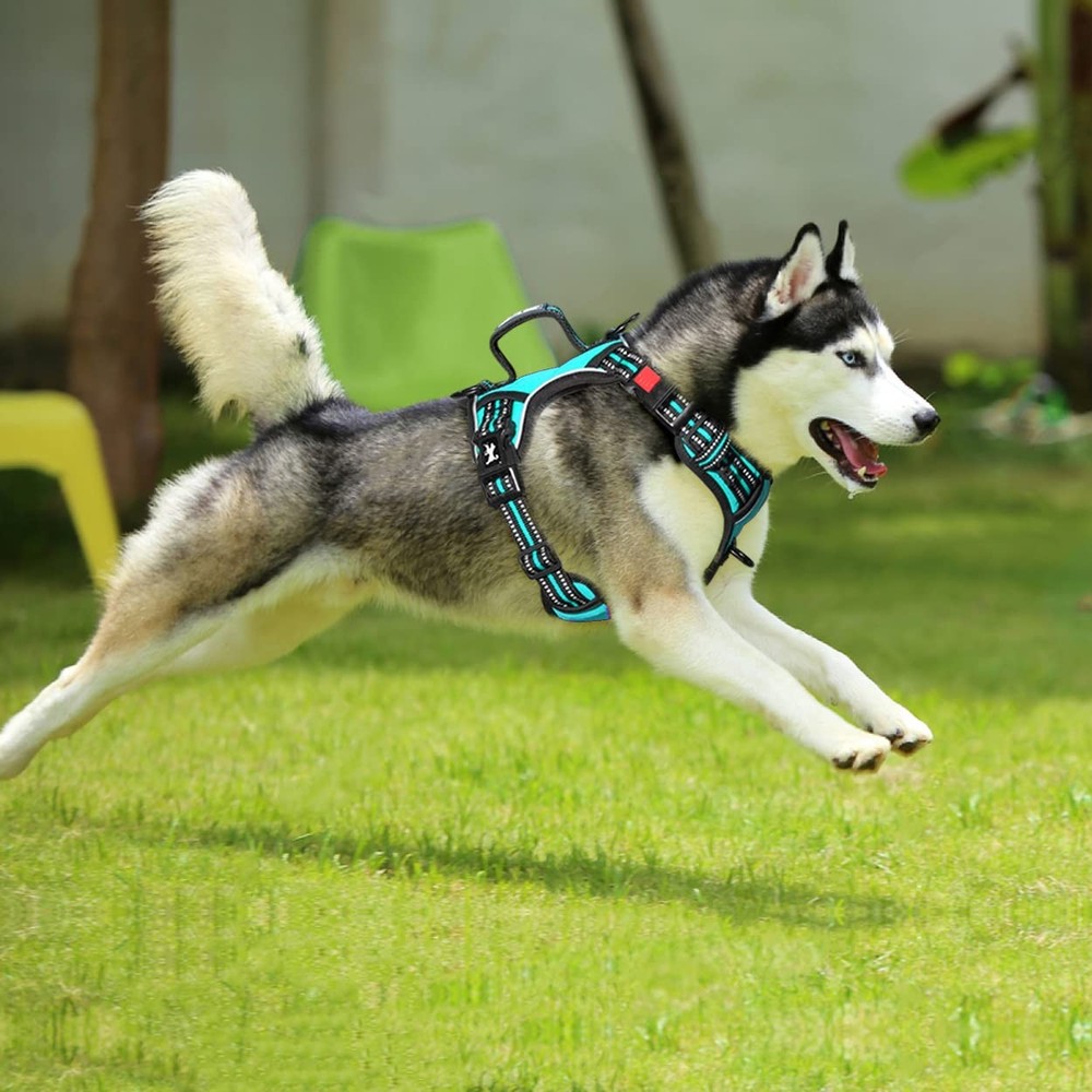 PoyPet No Pull Dog Harness, Choke Front Clip Extra Large, Mint Blue