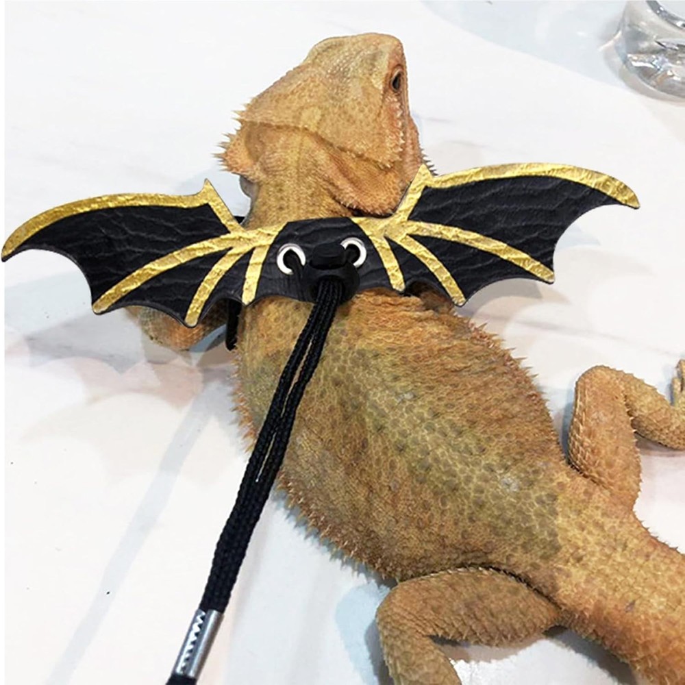 Comfortable Leather Bearded Dragon Leash Set - Adjustable for All Small Reptiles