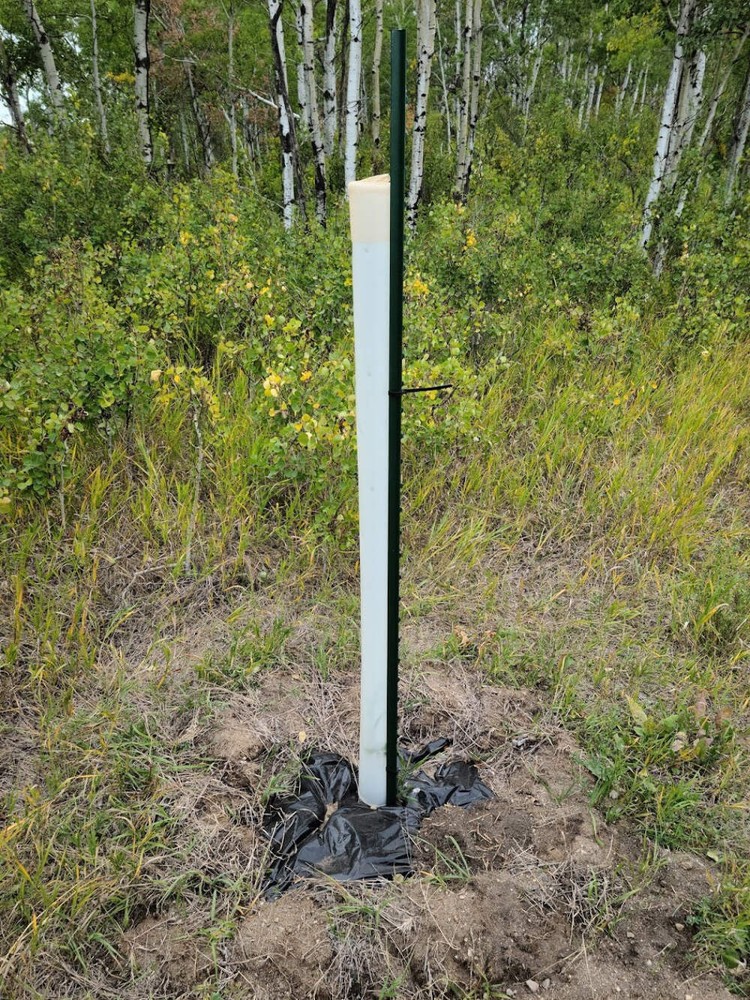 MIRACLE TUBE TREE SHELTERS (5)