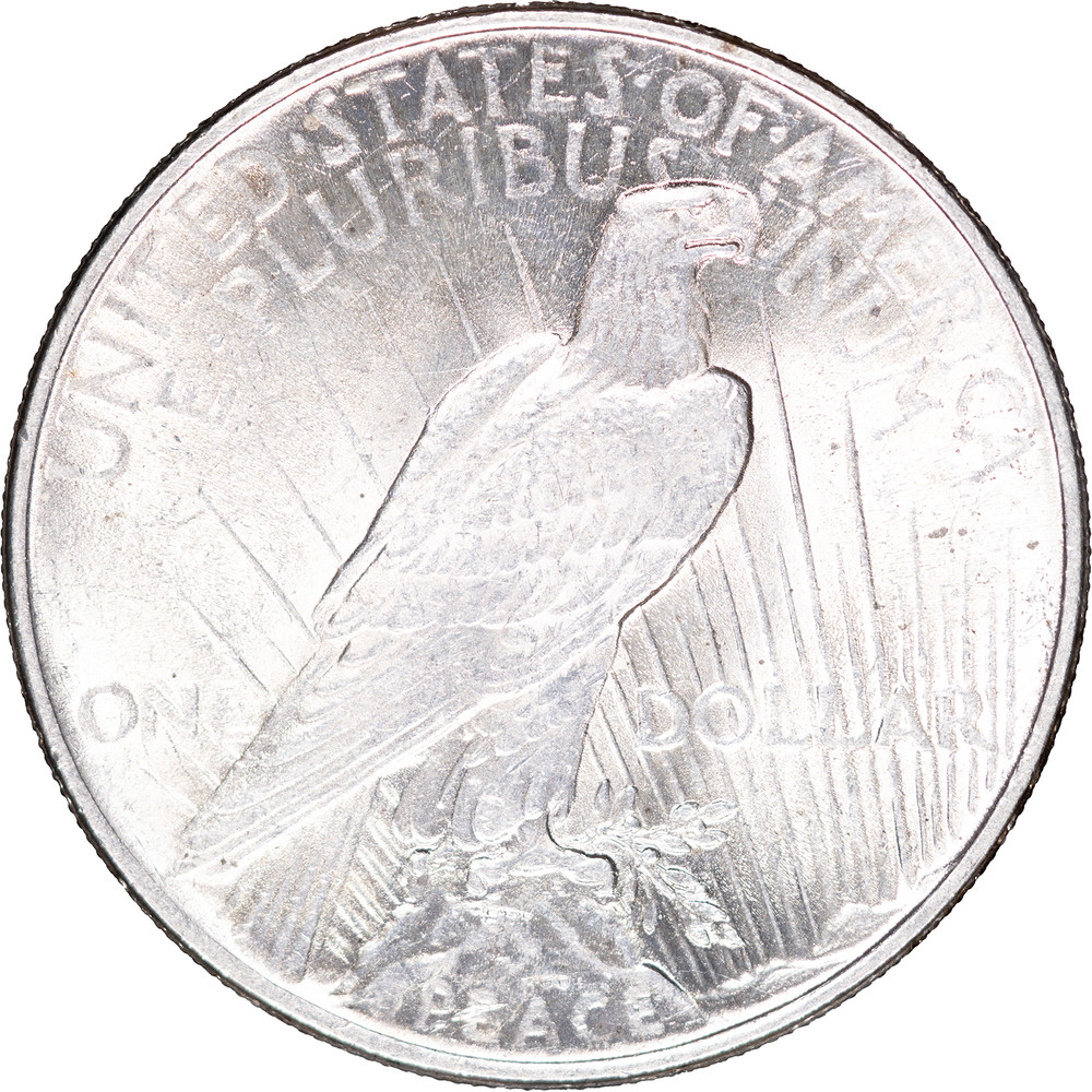 1924 $1 Peace Silver Dollar ~ UNC Details