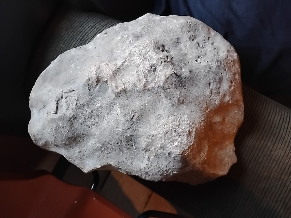 DEFINITELY A DINO BONE... DON'T KNOW WHICH ONE YET.. PLEASE HELP ME IDENTIFY IT.