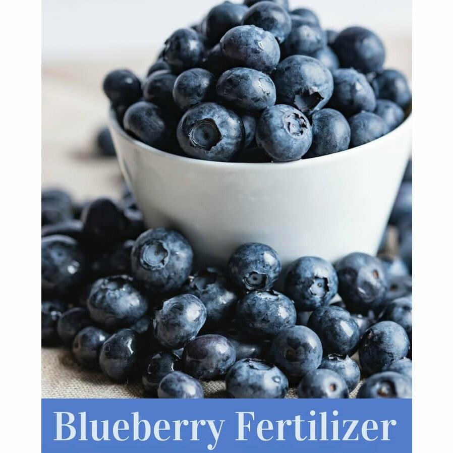 Blueberry Special 16-4-8 Fertilizer - 50 Lbs.