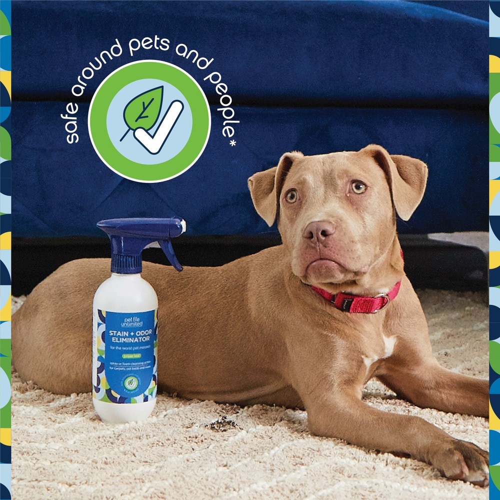 Multi-Surface Pet Stain & Odor Remover Foaming, Juniper Leaf, 16 fl oz