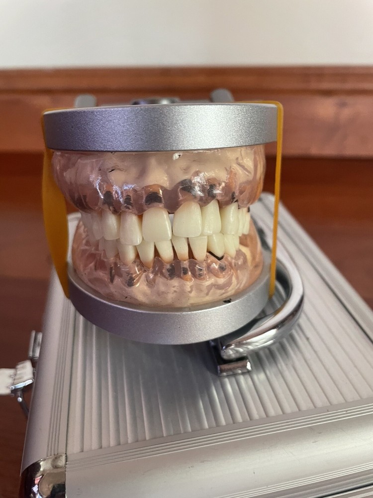 ModuPRO Perio w/ articulator ‑ clear