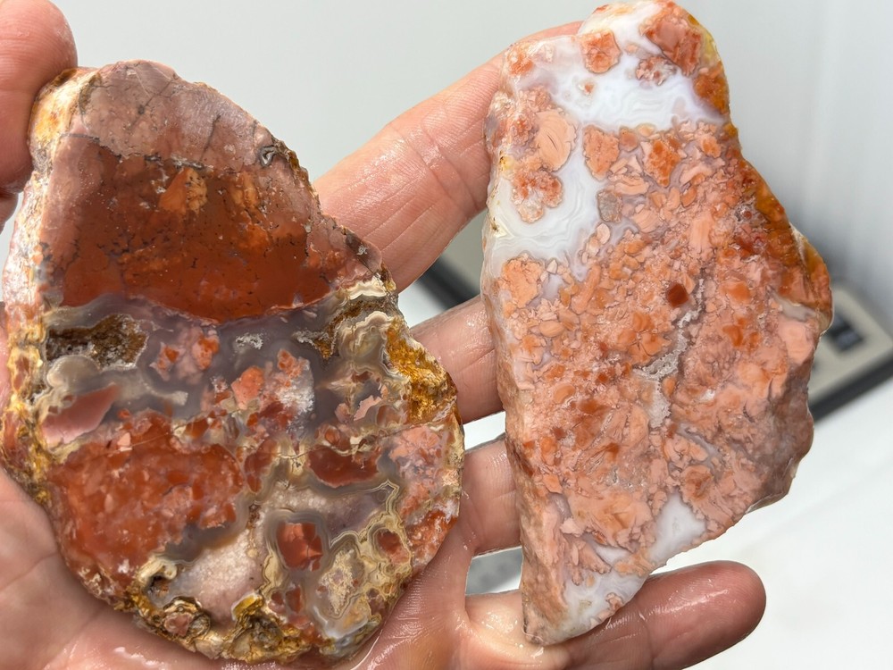 Cotton Candy Agate Slabs Cabbing Lapidary Collecting Combo Ship Avail
