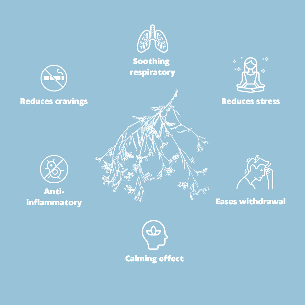 QuitPix to Help Quit Smoking Extra Thick Boosting Flavored Toothpicks