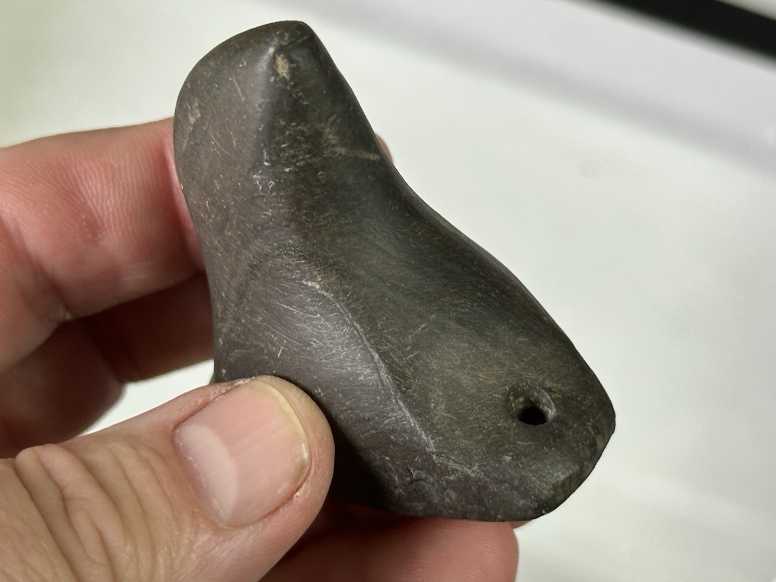 RARE AUTHENTIC BANDED SLATE BIRDSTONE FROM ASHLAND CO. OHIO, MOTLEY COA