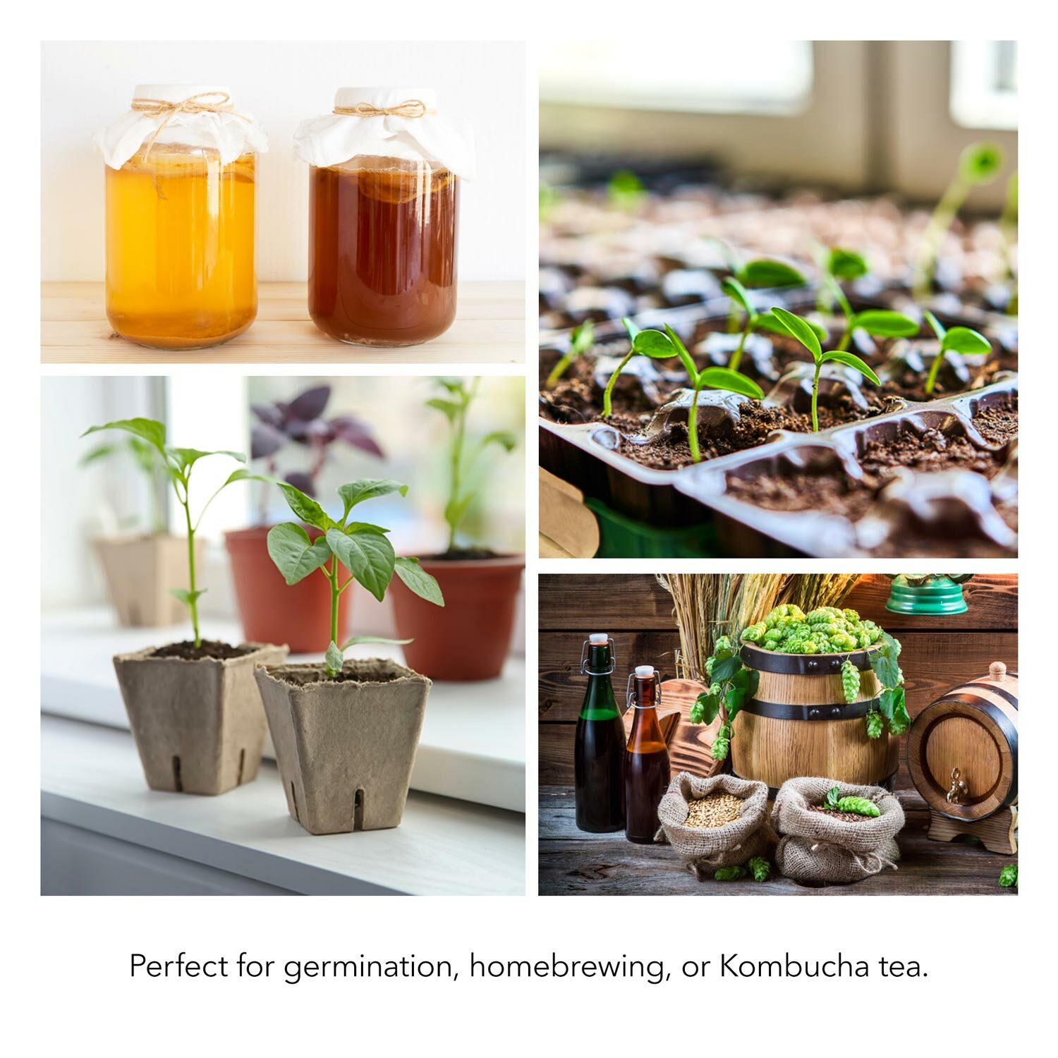 BN-LINK Seedling Heat Mat Heating Pad + Digital Thermostat Controller Combo Set