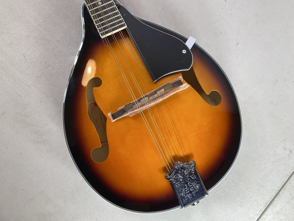 Hal Leanard Harmony Mandolin 8 String & Method Book HL00125547 Instrument 46S19