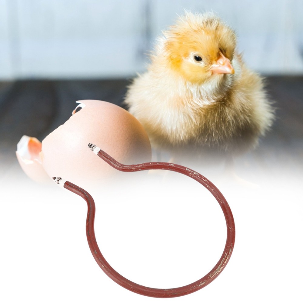 Incubator Heater Circular Heating Incubator Accessories (200W Small