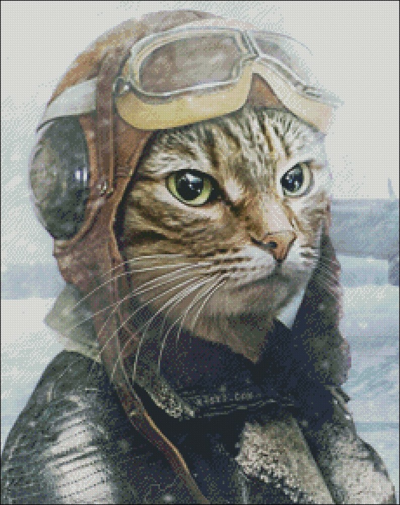 Cat-Pilot - DIY Chart Counted Cross Stitch Patterns Needlework DMC Color 14 ct