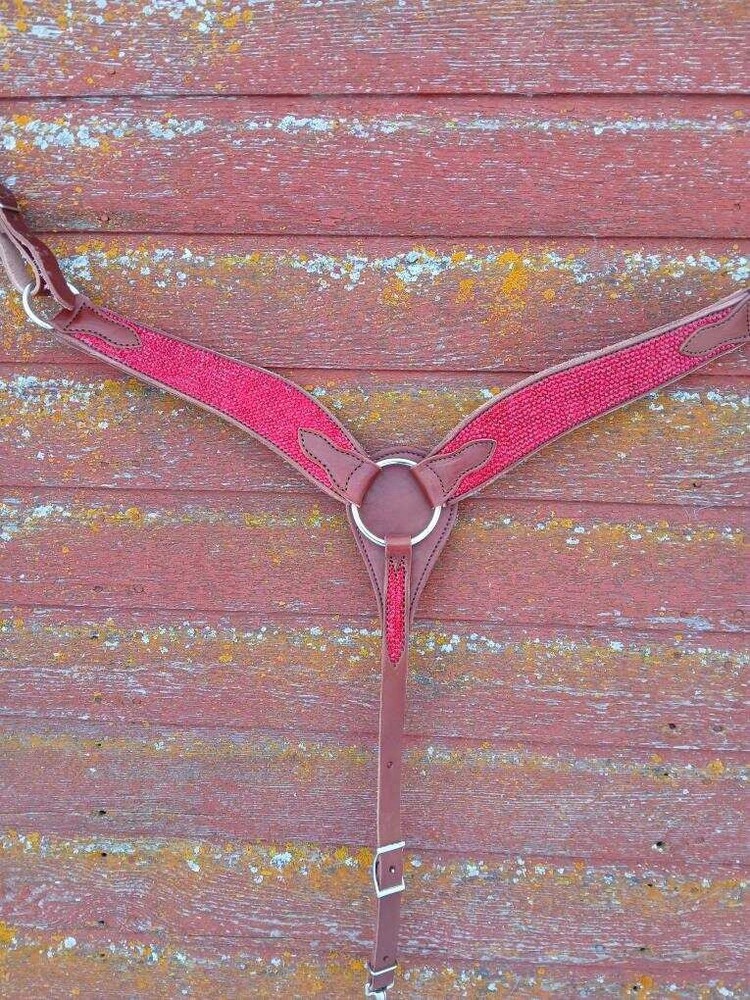 Custom Bedazzled Breast Collar!❤️