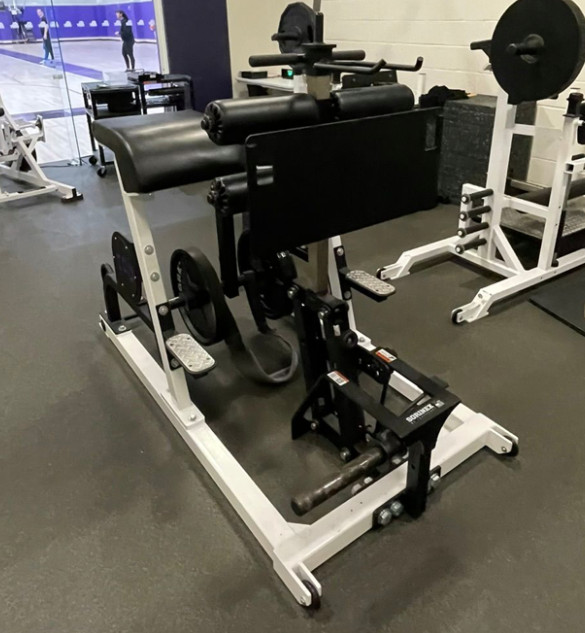 Sorinex | Plate Loaded FrankenHyper (GHD & Reverse Hyper Combo)