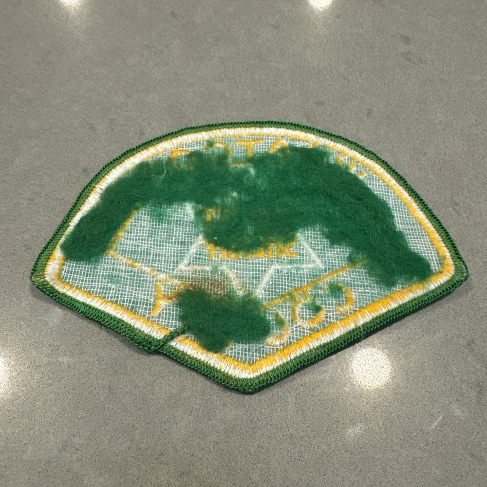 Whatcom County Washington State deputy sheriff patch