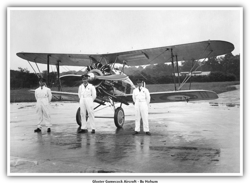 Gloster Gamecock Aircraft