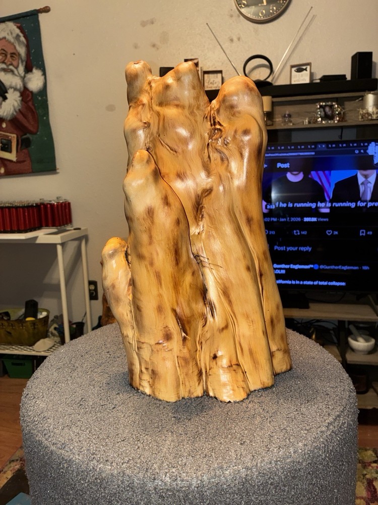 “SWAMP DONG “ Original Cypress Artwork