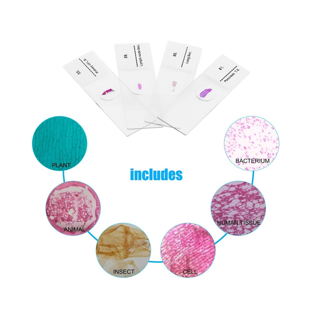 Microscope Slides, 100 Pcs Prepared Microscope Slides with Specimens for Kids...