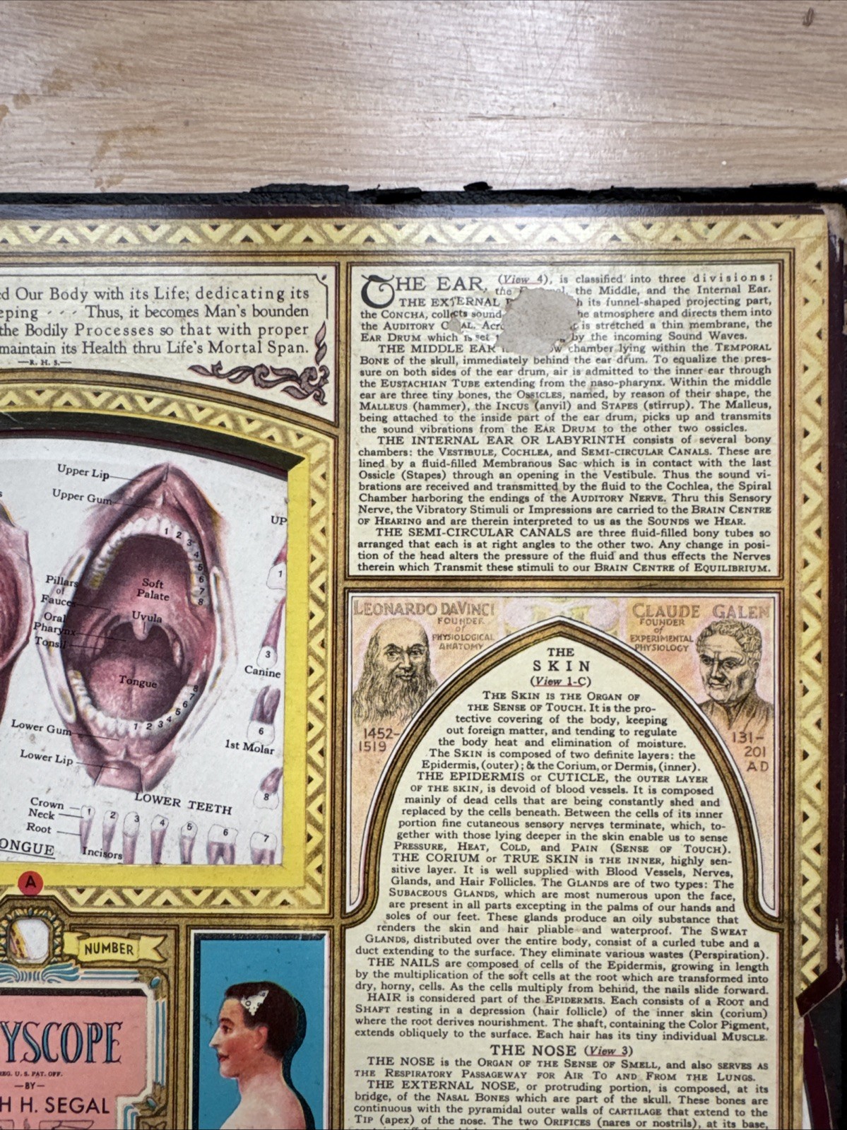 Bodyscope by Ralph H. Segal Human Anatomy Medical Chart and Case 1948 Flaws