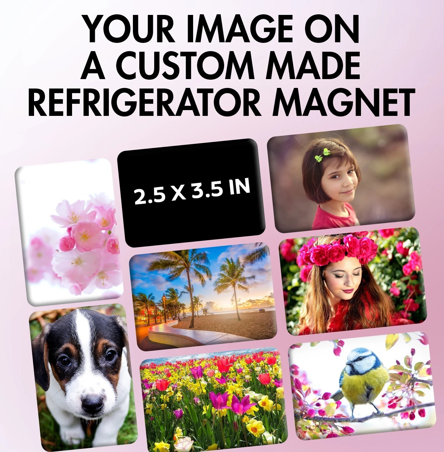 Vintage Atomic Energy Lab Kit Ephemera Magnet – 1950s Science Collectible