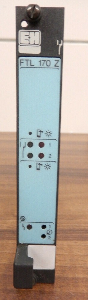 ENDERESS+ HAUSER FTL 170 Z