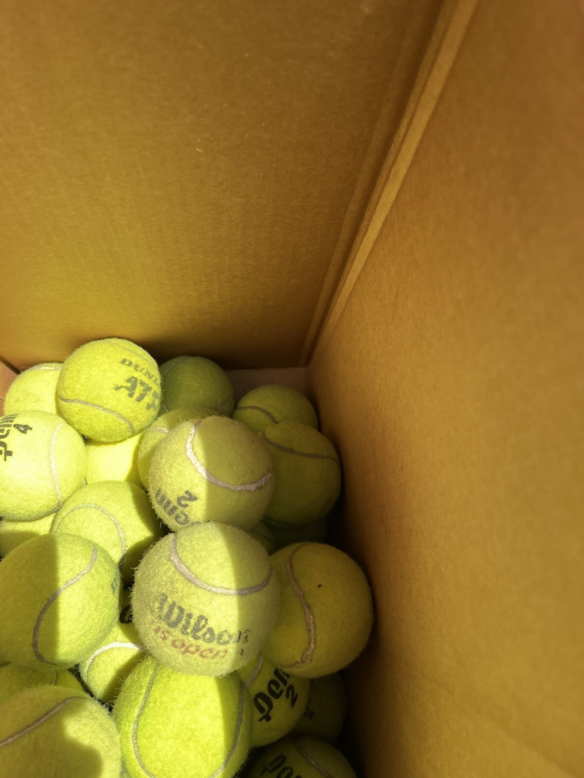 10 of Good Grade used Tennis Balls from Wilson, Dunlop, Penn, Head, etc Dog Toys