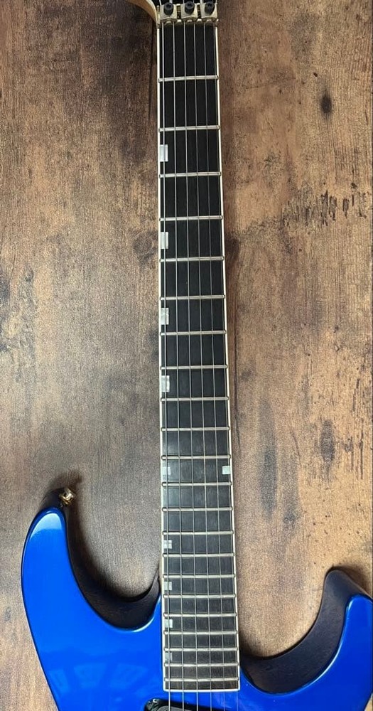 ESP Guitar Gig Bag Strap Safe Packing!