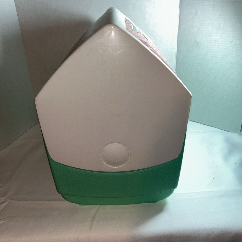 Igloo Flamingo Cooler